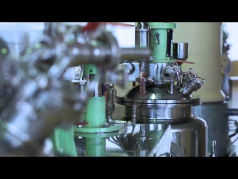 ZB 16ser - KĀ TOP Lūpukrāsa