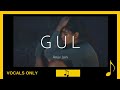 Gul | Anuv Jain | Vocals Only | English subtitles