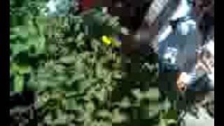 georgians protest by US embassy Toronto Canada