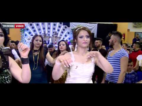 Sezgin Efshiyo Dawata Aifan & Ronak 30.10.2015 #By #Dilocan Video