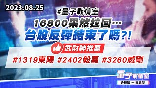 【量子戰情室】#陳武傑 0825 #量子戰情室 16800果然拉回…台股反彈結束了嗎?! 武財神推薦#1319東陽#2402毅嘉#3260威剛 (圖)