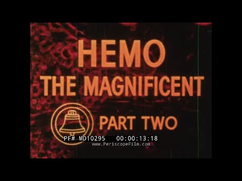 " HEMO THE MAGNIFICENT ”   1957 BELL SCIENCE SERIES FILM     WORK OF THE BLOOD    PART 2 MD10295