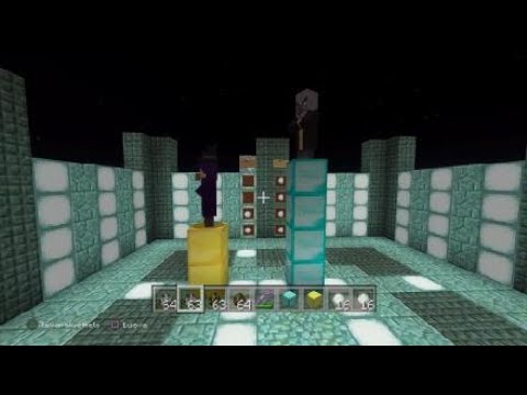 Minecraft Witch vs Evoker