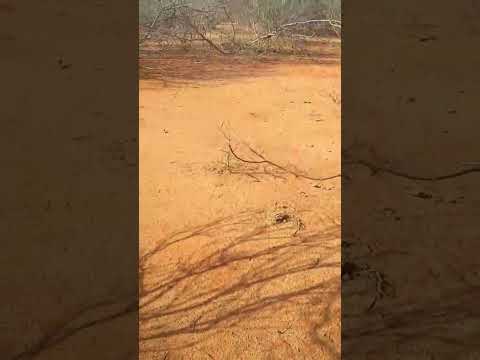 olha pessoal João está pertinho de um lugar que se chama jericó.