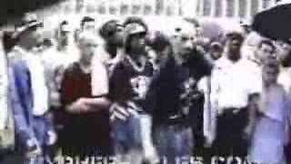 Mr Wiggles Volume 1 Rock Steady Crew DVD