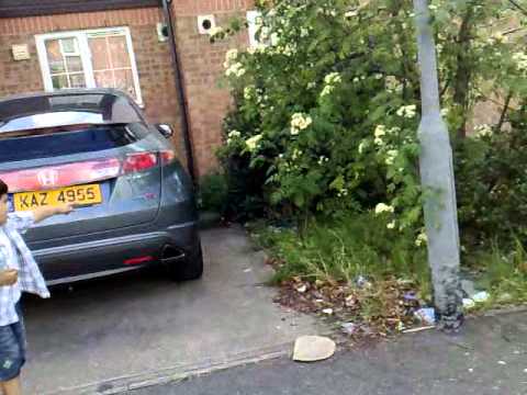 hussain with street cats.mp4