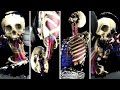 Mortal Kombat 9 Komplete Edition All X Ray Attacks