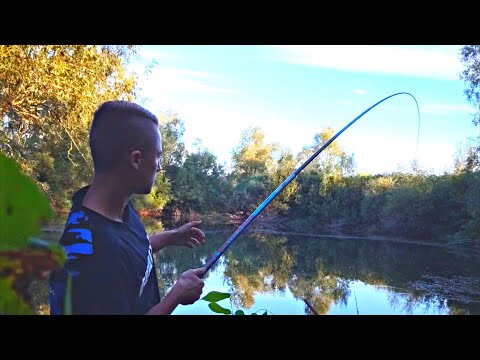 Pecanje Barske ribe na plovak i gliste za kraj SEZONE na "Bari"