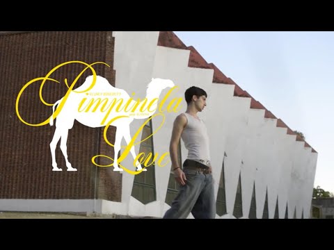 eluney benedetti - Pimpinela Love (prod. elaiyah)