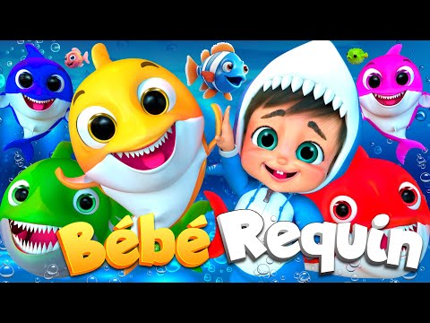 Bébé Requin et sa Famille | Une Chanson Amusante et Ludique #chansonpourenfants #bébérequin
