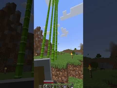 Chris Hass - Sussy Bamboo 😳 #shorts #minecraft #funny #sus #twitch #twitchstreamer #clip #fyp