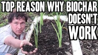 Learn 5 Ways How to Activate Biochar -  Makes a rich microbe nutrient food for your plants