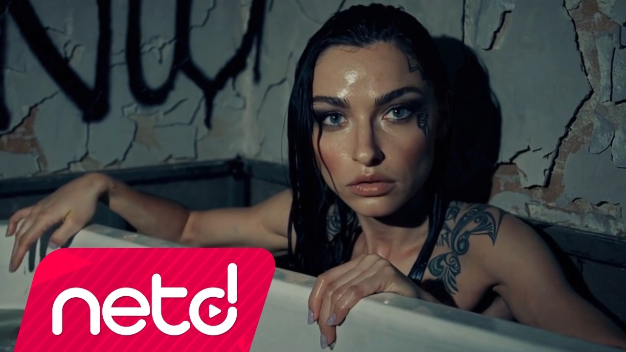 Nesrin Ünlü Ertek - Arayış