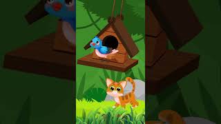 cit cit cuit #laguanaklucu #laguayam