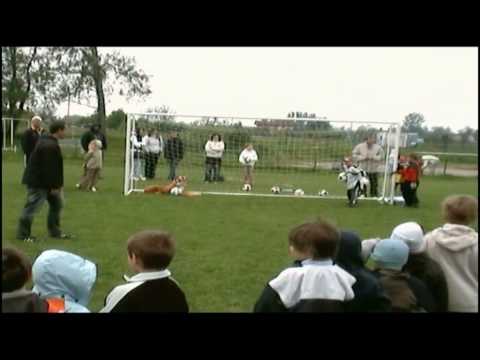 Závěrečné penalty se Sokol Tišice