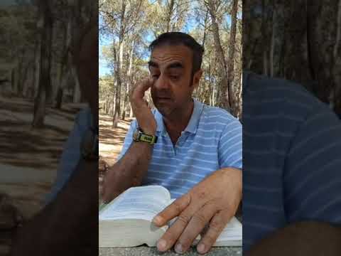 Lección 266. Mi santo Ser mora en ti, Hijo de Dios. Miguel Sanchez