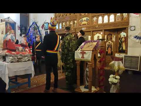 VIFLAIM IN ORBAU, SATU MARE