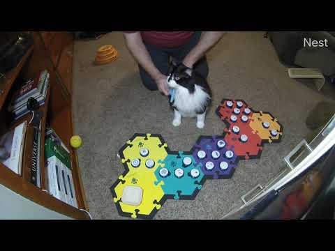 Todd Talks - Todd Tells Me To Come to Him and He's Happy