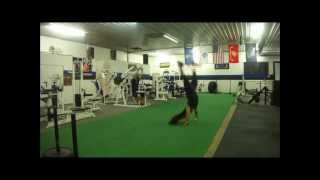 preview picture of video 'Kara Bohigian Smith - Eaton Barbell Gymnastics - Round off Prowler Clumsy Collision!'
