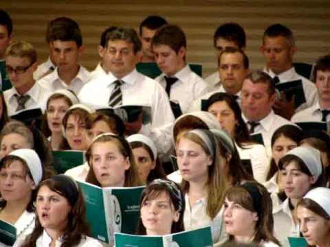 Atelier Muzical Suceava - Nimeni nu poate sa ne desparta