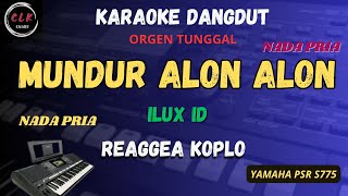 Download lagu MUNDUR ALON ALON - ILUX ID VERSIA REGGEA KOPLO Karaoke Nada PRIA-CLK Karaoke mp3