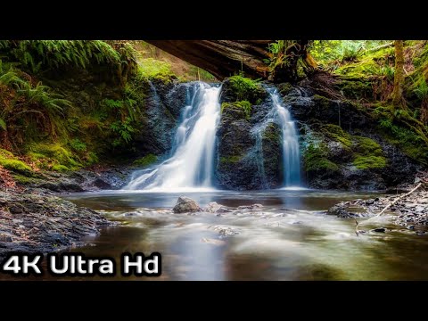 Amazing Wildlife of Botswana - 8K Nature Documentary Film (with music)#4K #Wildlife #Botswana