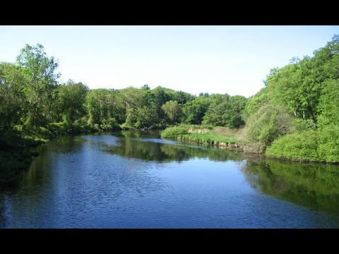 Wellesley Trail Walk - Lower Falls Walk