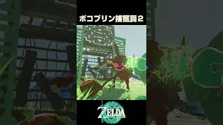 ボコブリン捕獲罠２【ゼルダの伝説 ティアーズオブザキングダム】