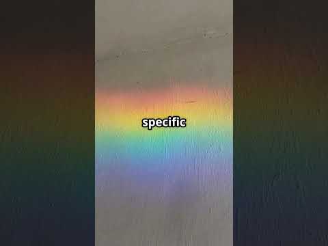 Why Purple is a Brain-Made Color!