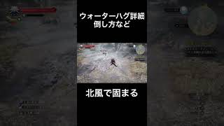 ウォーターハグ詳細 倒し方など