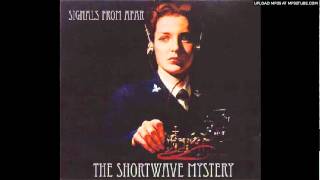 The Short Wave Mystery - Takin' Chances (Castro Street Mix)