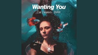 Wanting You (Club Mix)