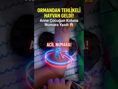 ORMANDAN TEHLİKELİ HAYVAN GELDİ! Anne Çocuğun Koluna Numara Yazdı 😂🦁