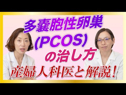 ヒラ・クリソセリス