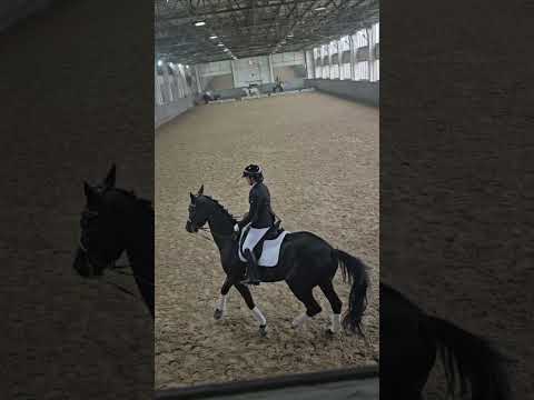 Paskina  Ekaterina - Nalando Children's Team Test December 2024