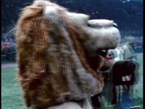 1969 Vikings at Lions week 11