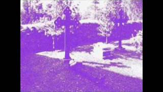 Il Giardino Violetto - L.iquid s.ensations d.isplay (throat remix)