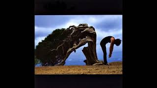 Brian May - China Belle