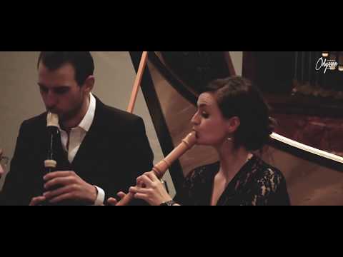 J.S. Bach harpsichord concerto in F (BWV 1057)