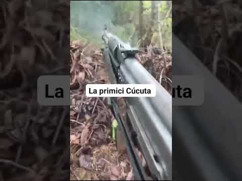 ,  fuertes combates entre grupos armados en zona rural del Municipio del Tarra Norte de Santander