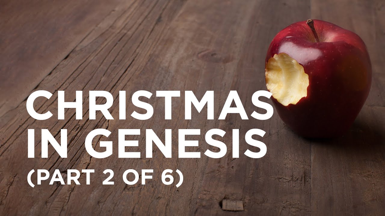 Christmas in Genesis (Part 2 of 6) — 12/21/2020