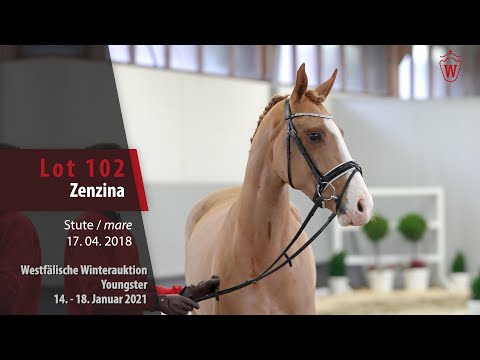 Winterauktion Youngster Lot 102 Zenzina Stute v. Zoom - Bordeaux