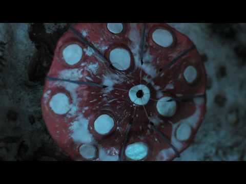 Brothers of End - Beats For You