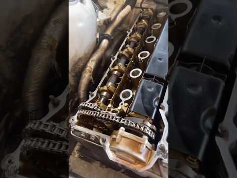 M50/M52/S50/S52 Headgasket Replacement #bmw #mechanic #technician #shorts