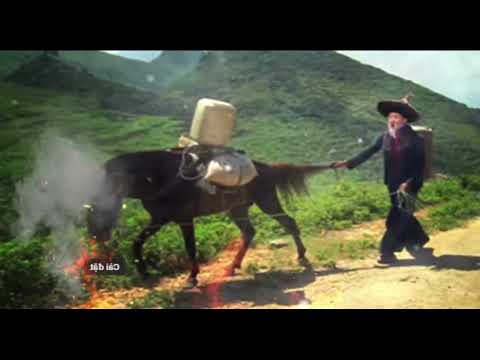 Tuam Leej Kuab The Hmong Shaman Warrior #Part1133