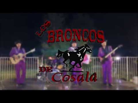 Los Broncos de Cosalá 