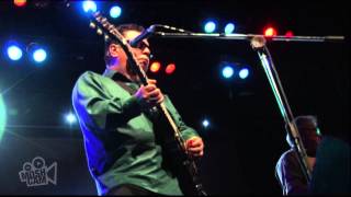 Los Lobos - Papa Was a Rolling Stone / I Can&#39;t Understand (Live in Sydney) | Moshcam
