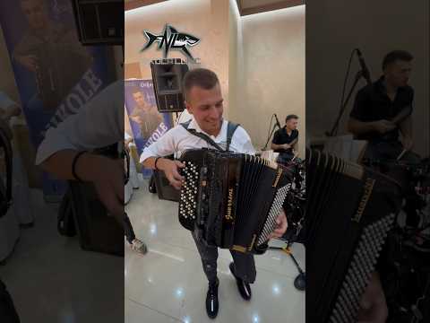 ORKESTAR NIKOLE LUKICA - SHARK ATTACK #balkan #music #trending #trendingshorts #viral #nikolalukic