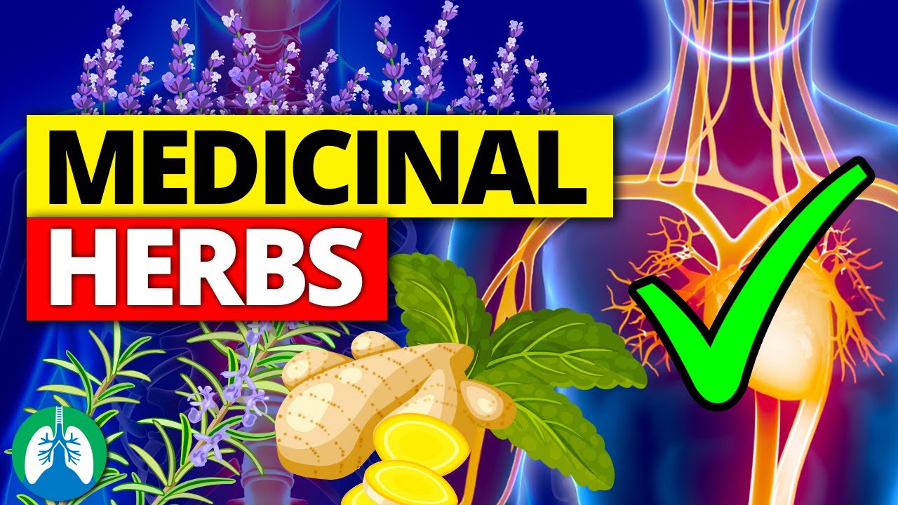 Top 10 Most POWERFUL Medicinal Herbs (Backed by Science)