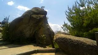 宮島をうろつく　⑦